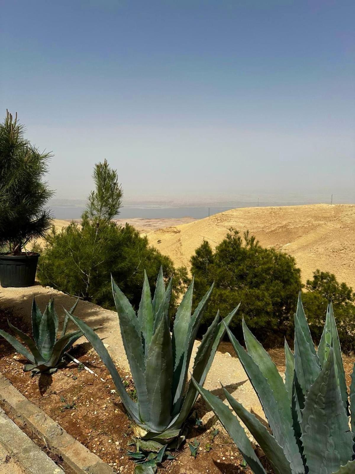 Golden Rays Chalet Madaba Extérieur photo