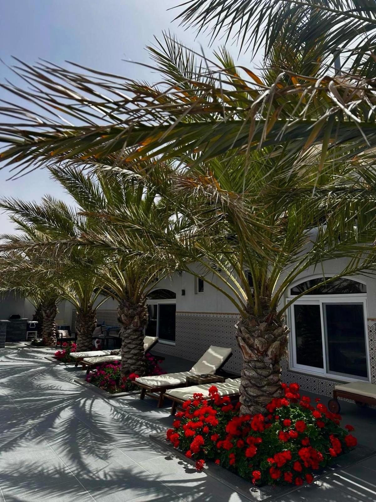 Golden Rays Chalet Madaba Extérieur photo